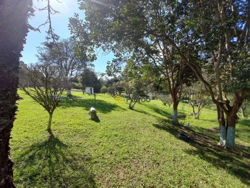 Terreno, 9980 m² - Foto 4