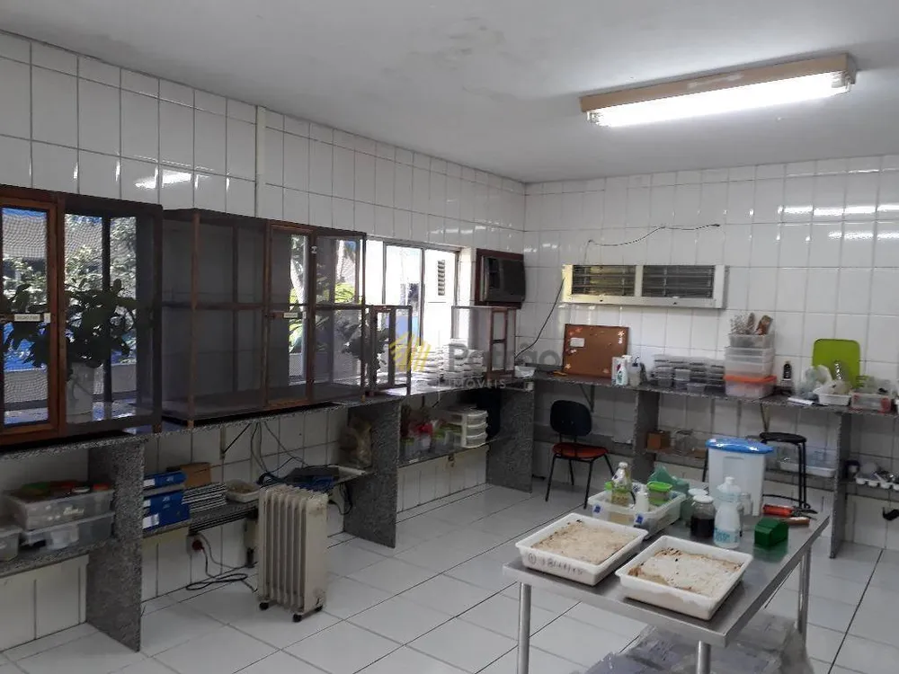 Depósito-Galpão, 1500 m² - Foto 3