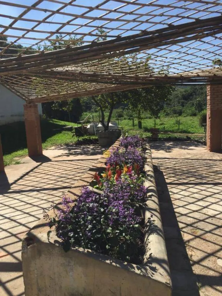 Terreno, 65 hectares - Foto 1