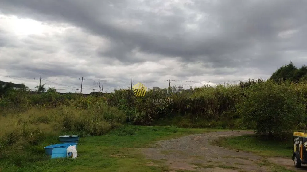Terreno, 2 hectares - Foto 1
