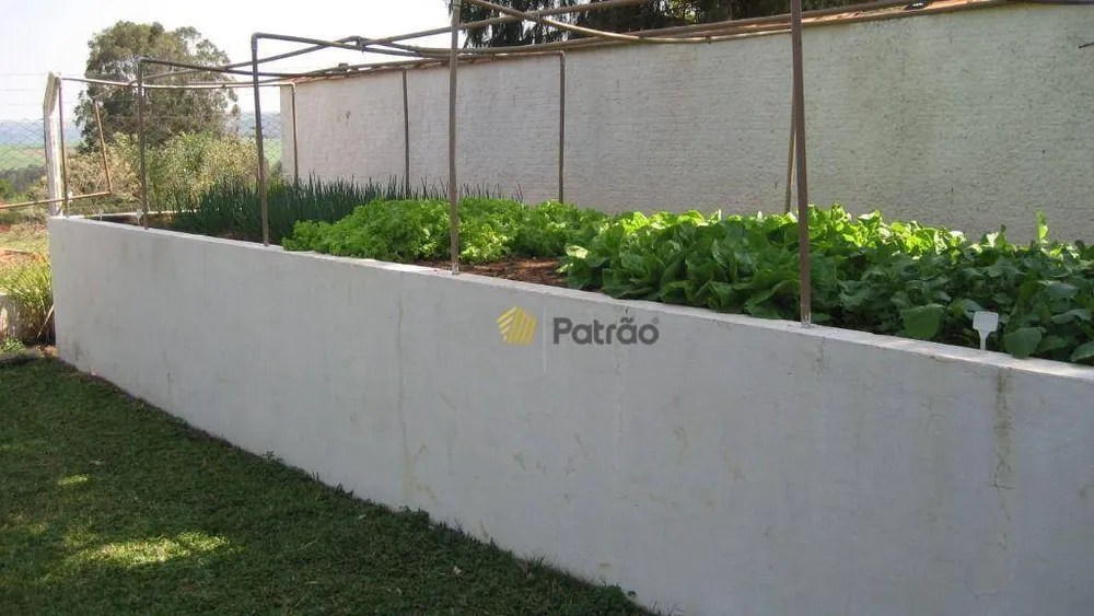 Chácara, 4 quartos, 5300 m² - Foto 10