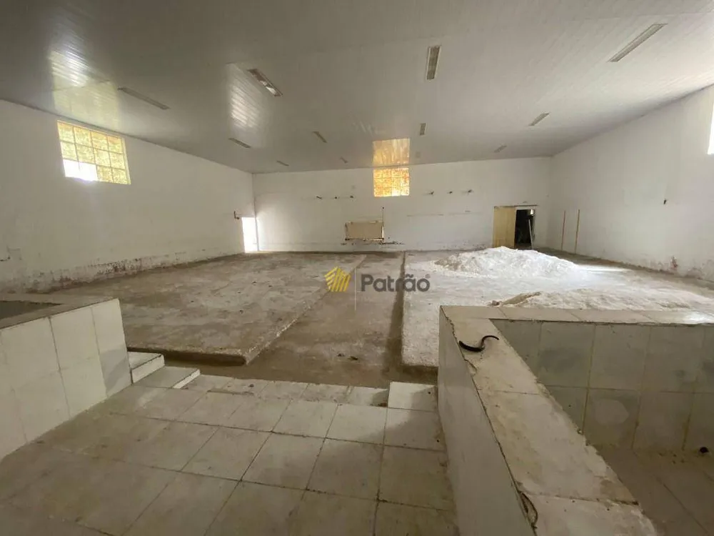 Depósito-Galpão, 1300 m² - Foto 14