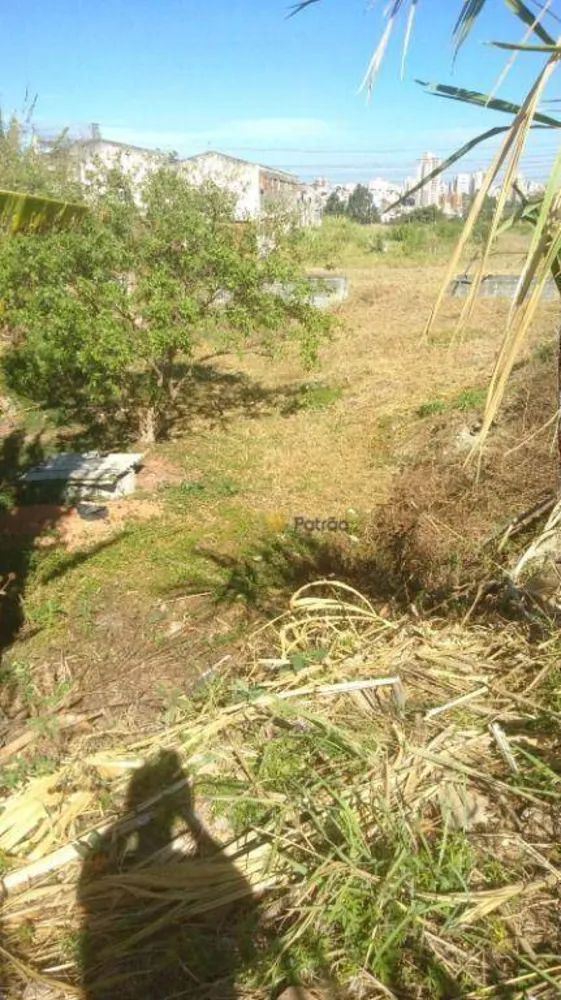 Terreno, 1000 m² - Foto 3