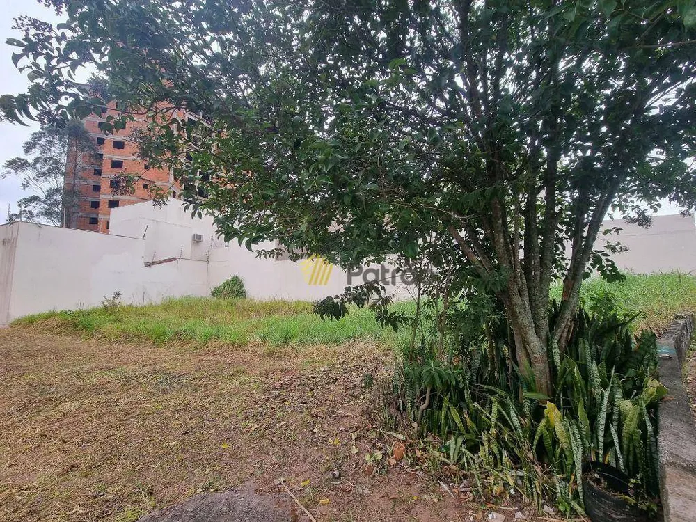 Terreno, 250 m² - Foto 2