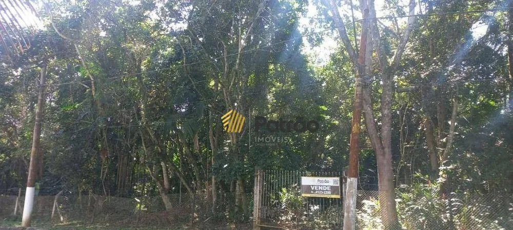 Terreno, 7000 m² - Foto 2