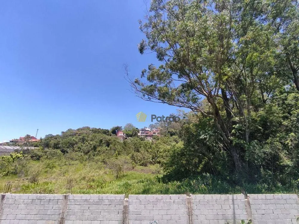 Terreno, 8692 m² - Foto 6