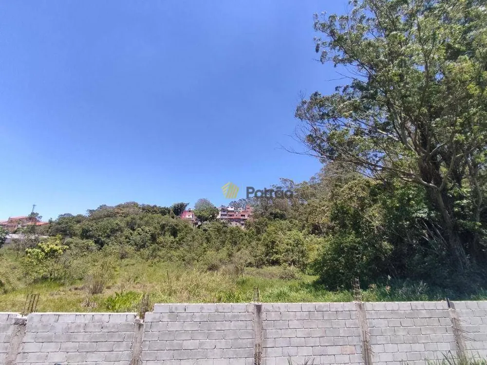 Terreno, 8692 m² - Foto 5