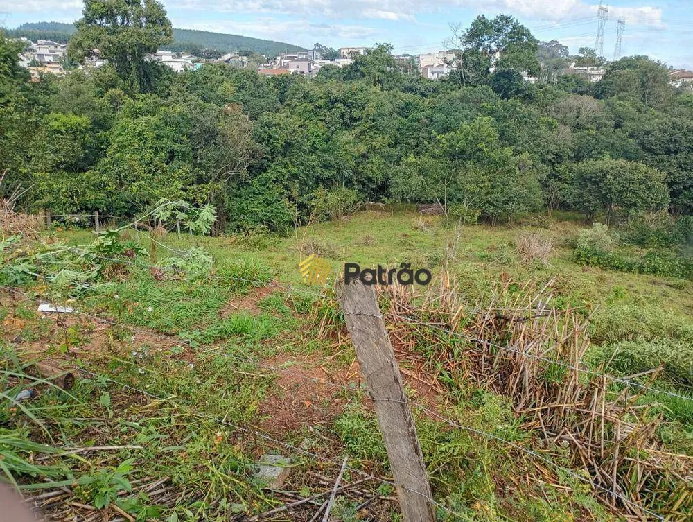Terreno, 6517 m² - Foto 7