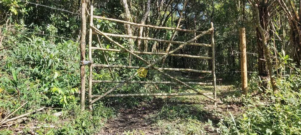 Chácara, 1 quarto, 2 hectares - Foto 3