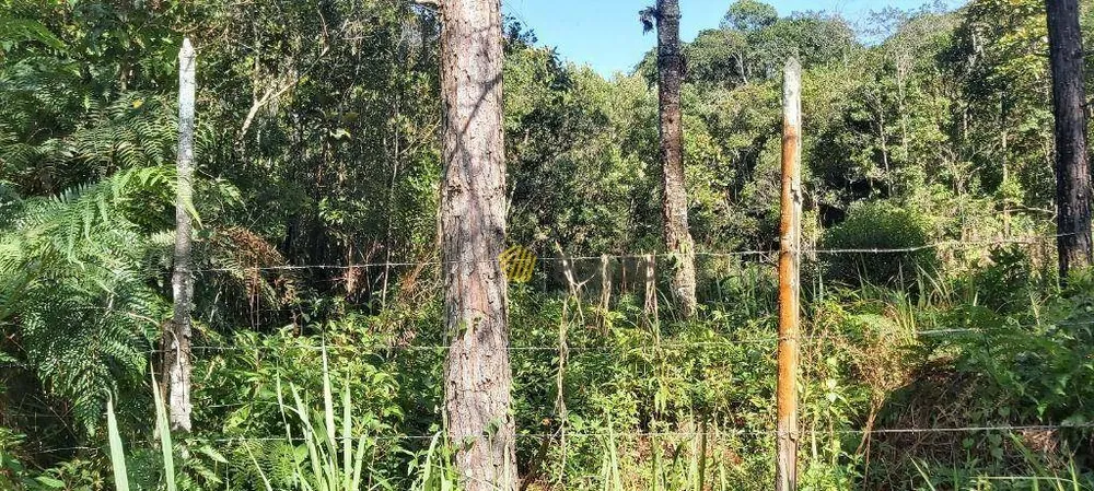 Chácara, 1 quarto, 2 hectares - Foto 2