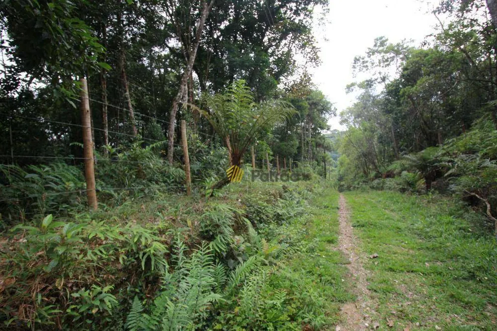 Chácara, 1 quarto, 2 hectares - Foto 10