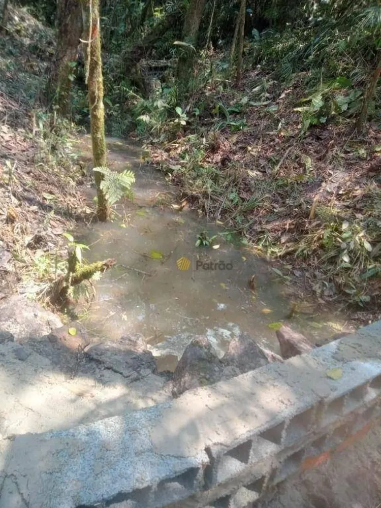 Chácara, 1 quarto, 2 hectares - Foto 3