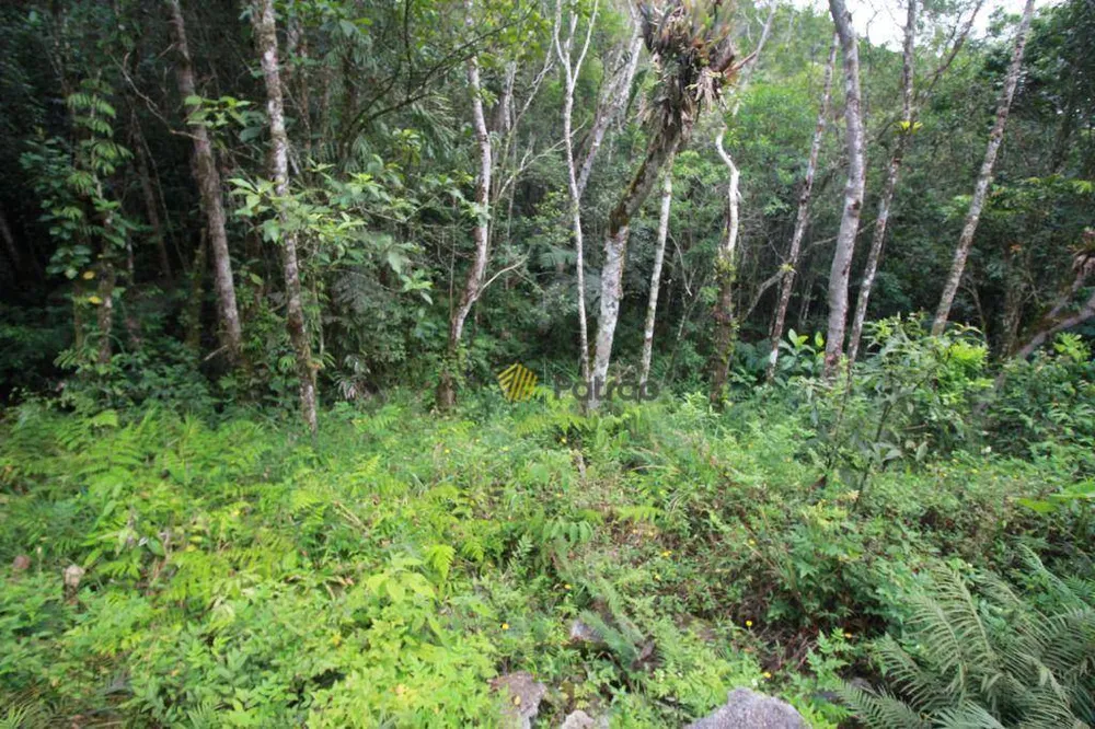 Chácara, 1 quarto, 2 hectares - Foto 6