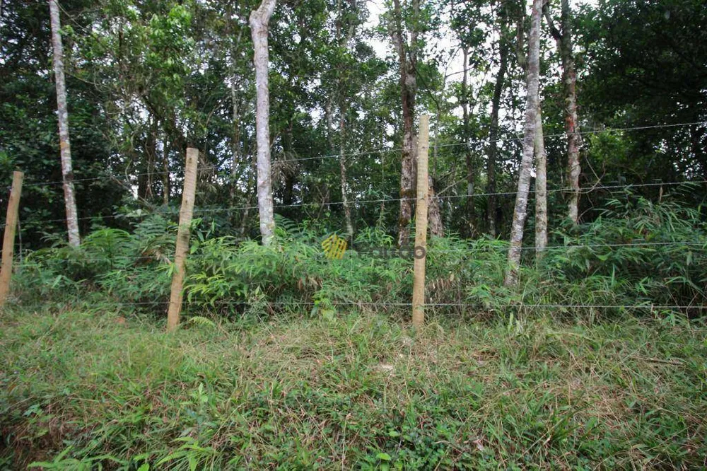 Chácara, 1 quarto, 2 hectares - Foto 9
