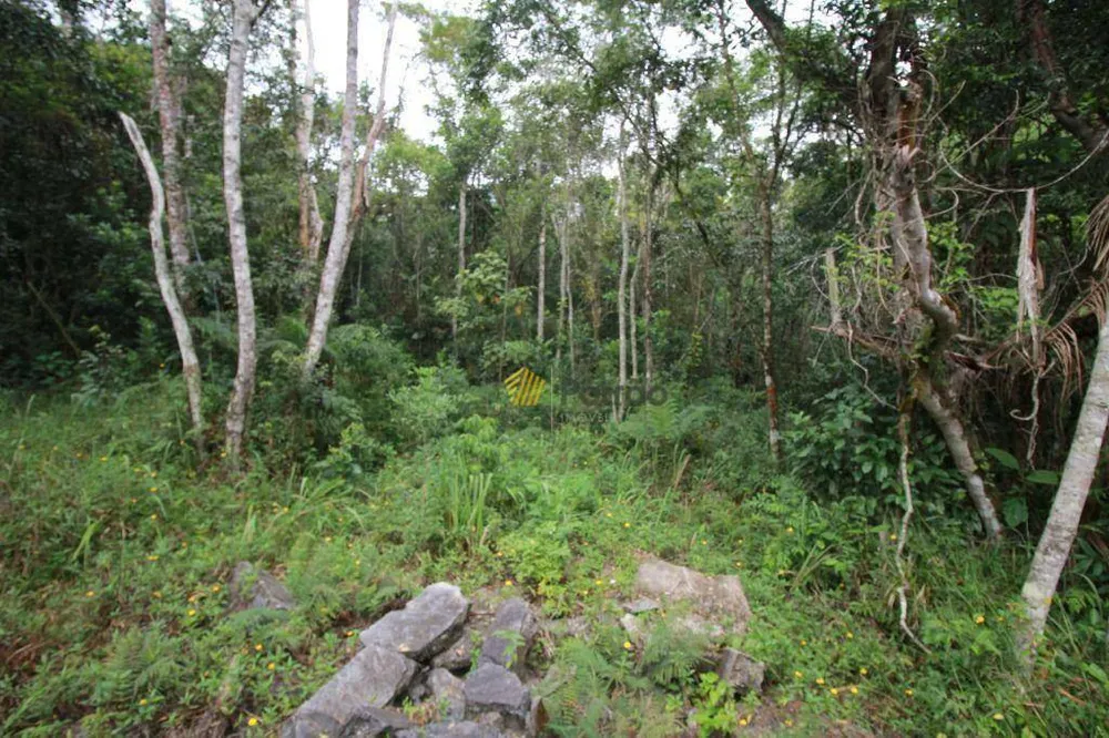 Chácara, 1 quarto, 2 hectares - Foto 6