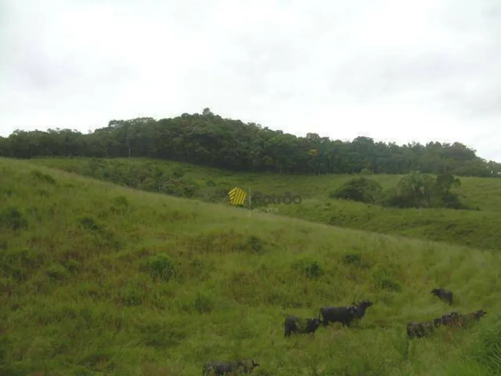 Terreno, 19 hectares - Foto 3