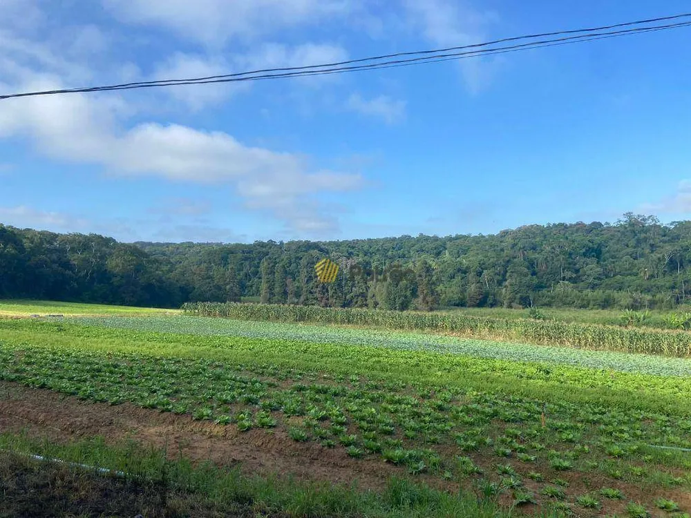 Terreno, 19 hectares - Foto 8