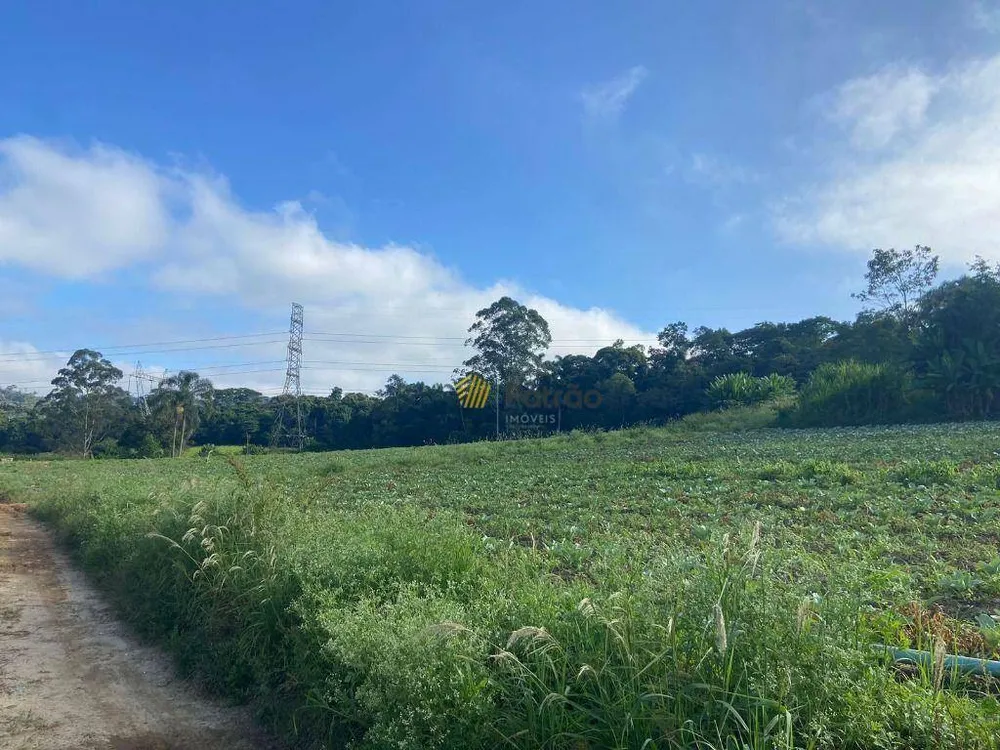 Terreno, 19 hectares - Foto 7