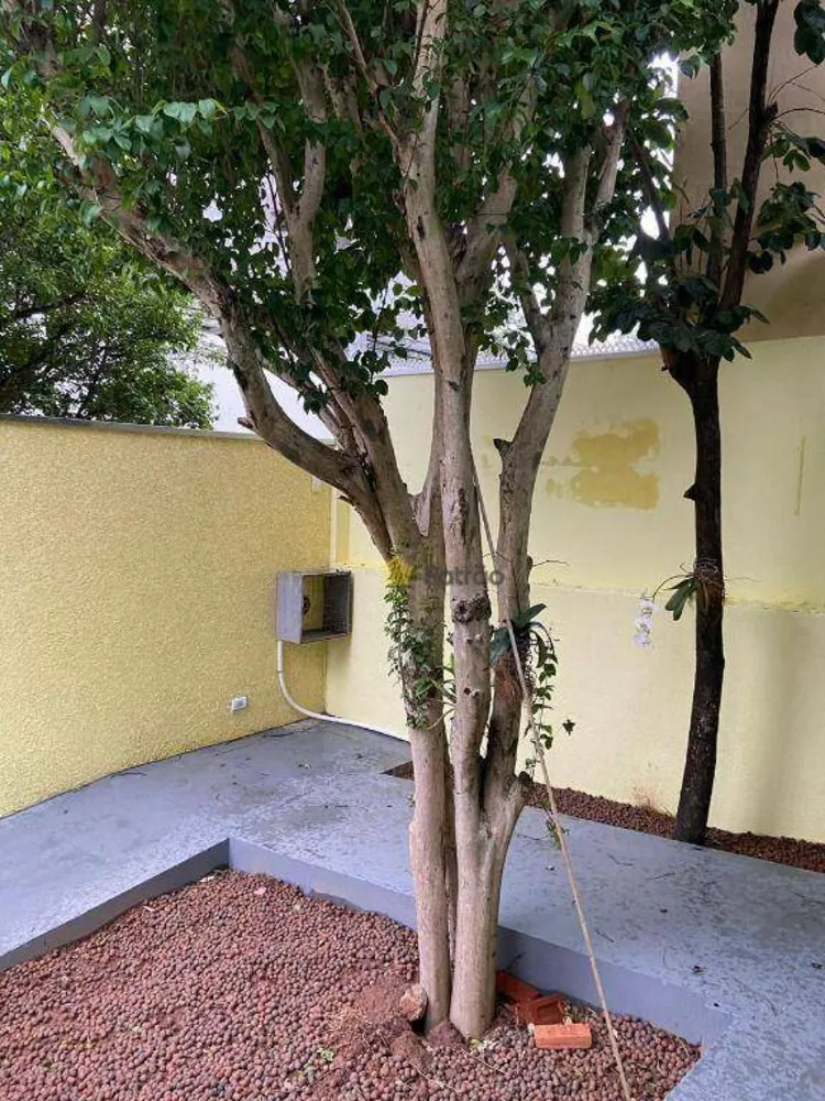 Casa, 1 quarto, 309 m² - Foto 2