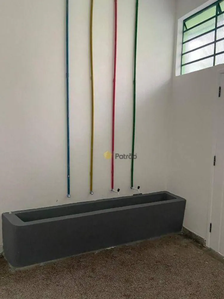 Casa, 1 quarto, 309 m² - Foto 5