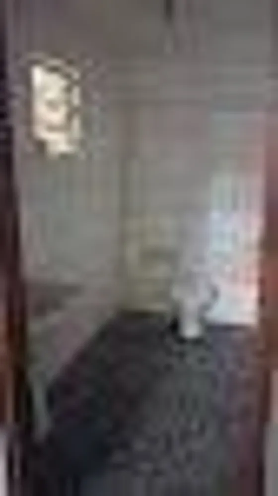 Depósito-Galpão, 350 m² - Foto 3
