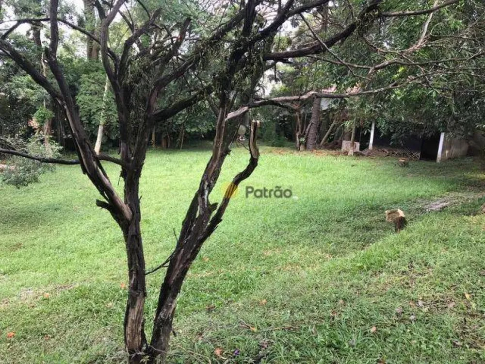 Casa, 4 quartos, 600 m² - Foto 3