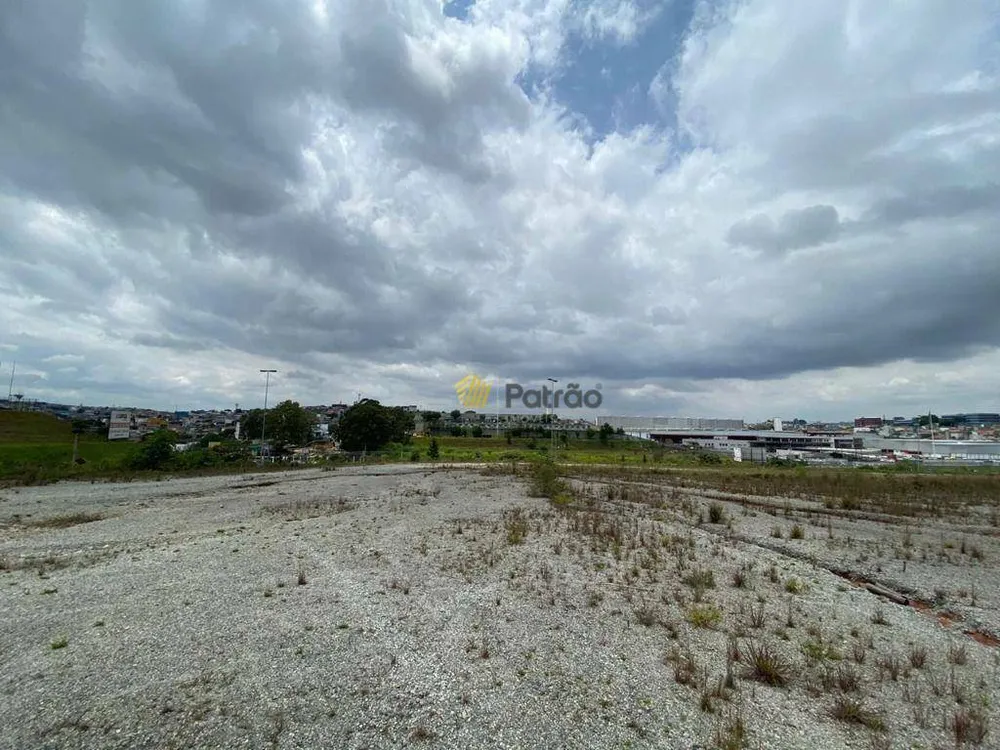 Terreno, 6 hectares - Foto 7