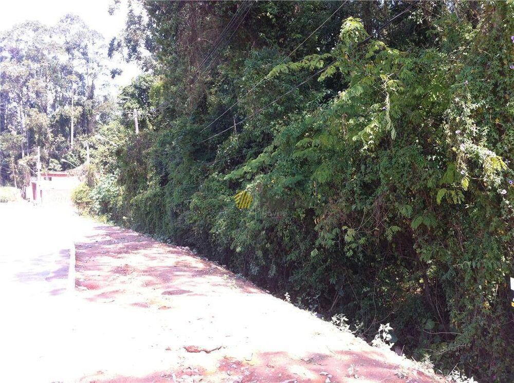 Terreno, 5012 m² - Foto 4