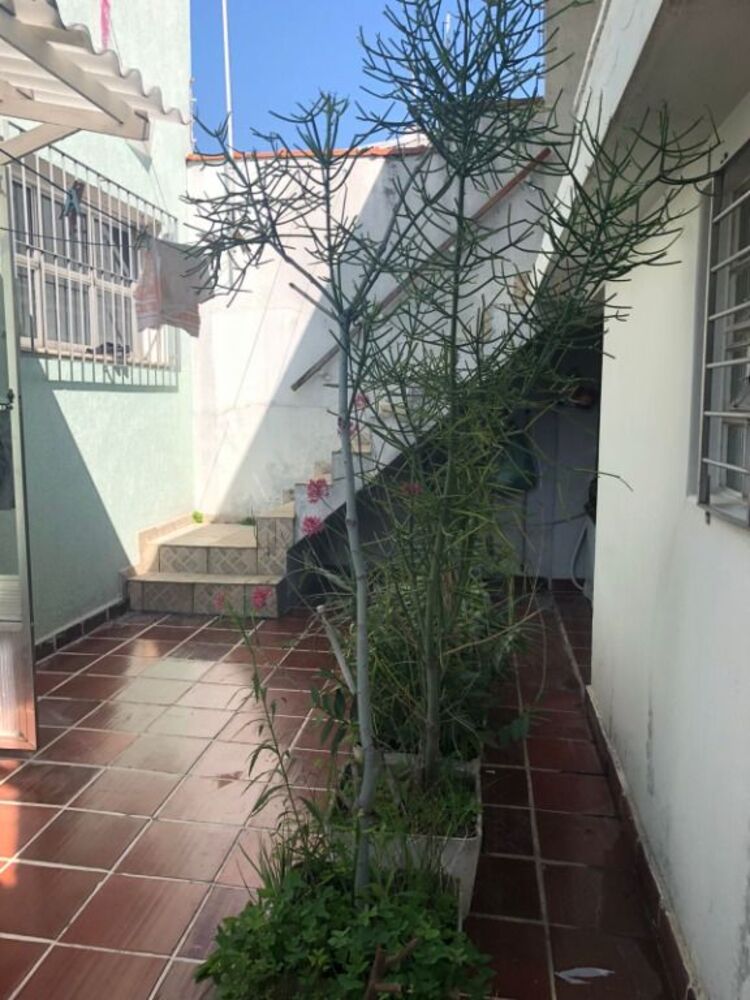 Casa, 3 quartos, 280 m² - Foto 4