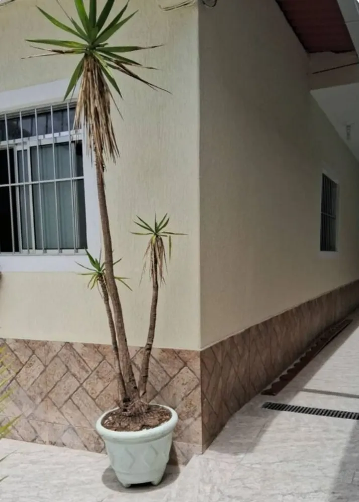 Casa, 2 quartos, 1252 m² - Foto 6