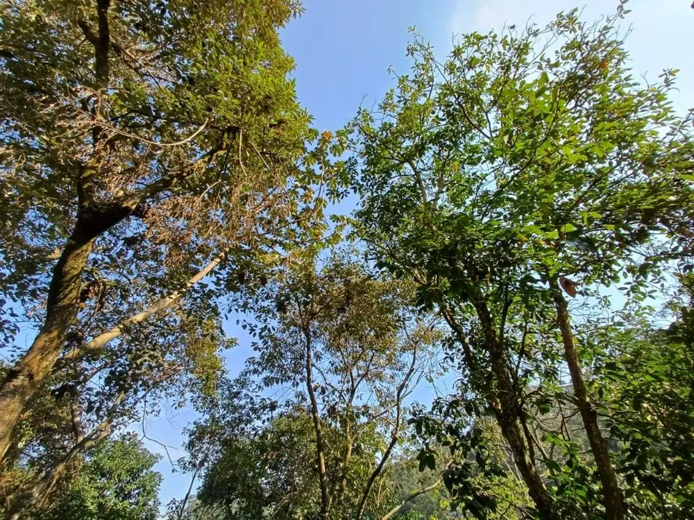 Sobrado, 3 quartos, 180 m² - Foto 11