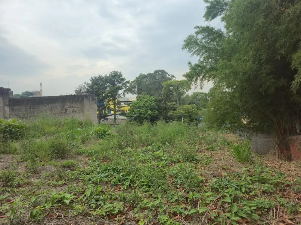 Terreno, 1000 m² - Foto 3