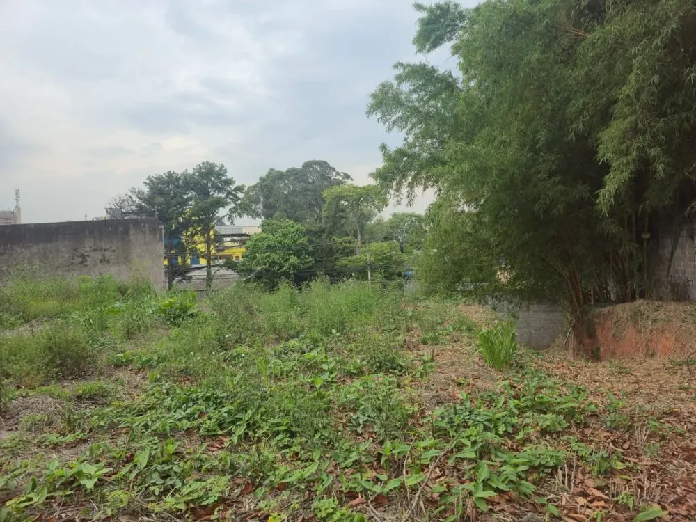 Terreno, 1000 m² - Foto 1