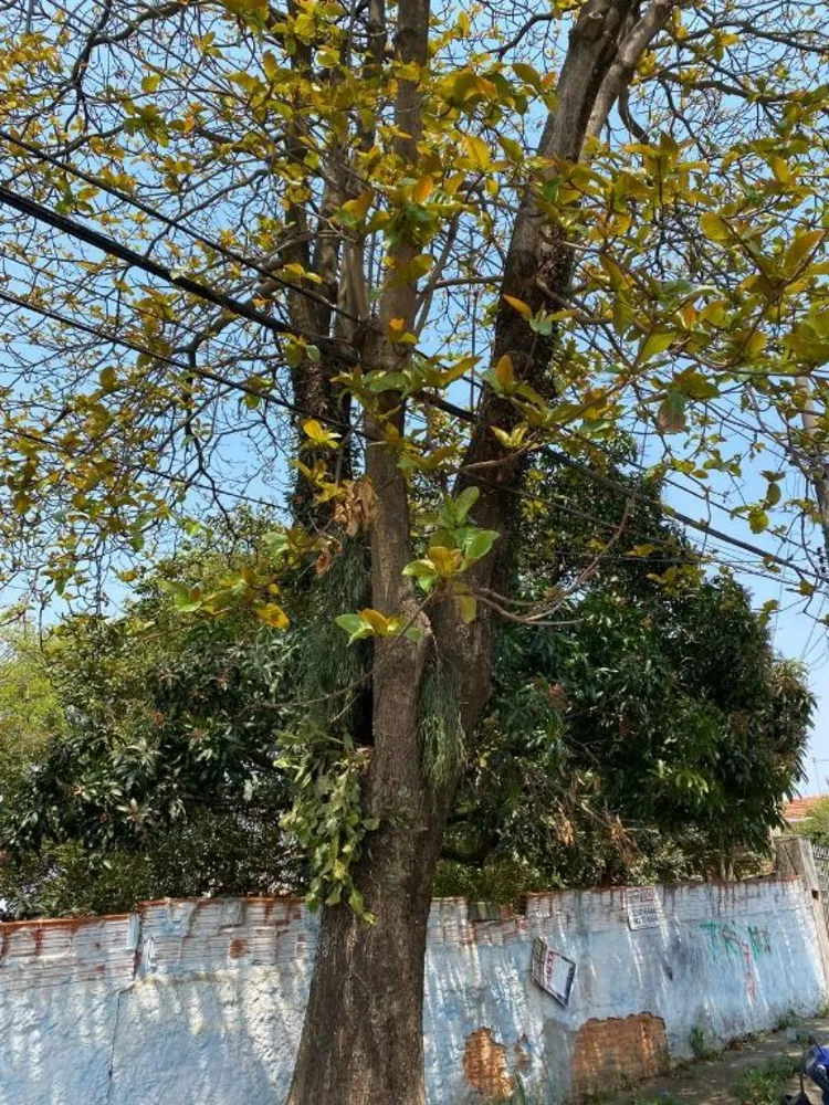 Terreno, 287 m² - Foto 10