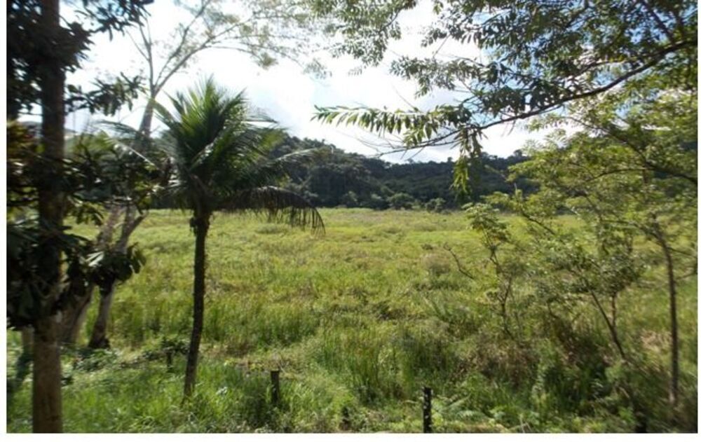 Sítio à venda, 250000m² - Foto 4