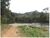 Sítio, 25 hectares - Foto 3