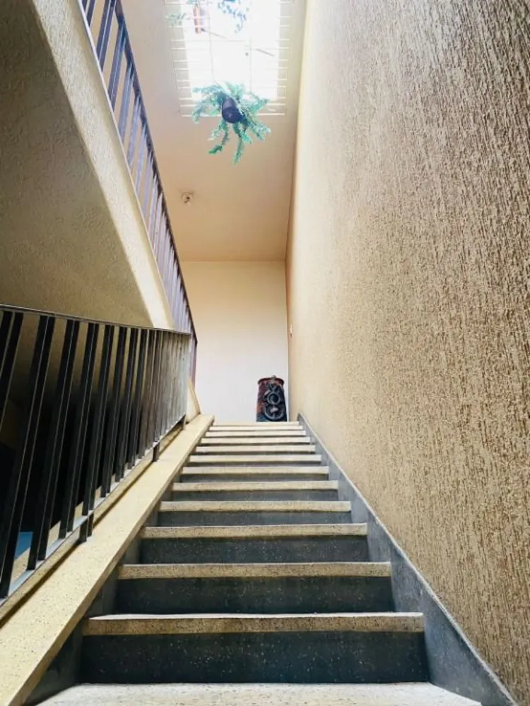 Sobrado, 4 quartos, 317 m² - Foto 4