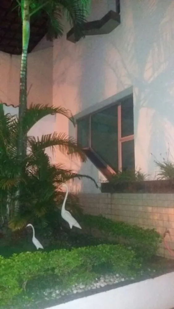 Sobrado, 3 quartos, 250 m² - Foto 2