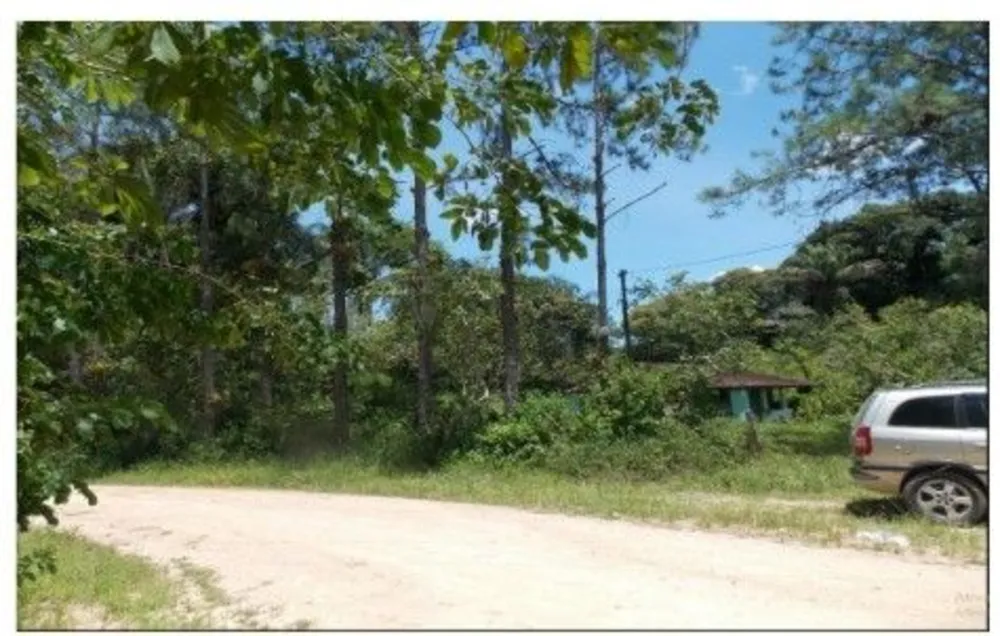 Sítio, 17 hectares - Foto 2