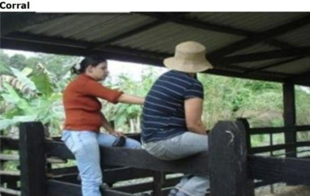 Sítio, 17 hectares - Foto 3