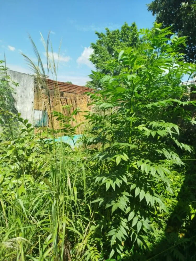 Terreno, 336 m² - Foto 11