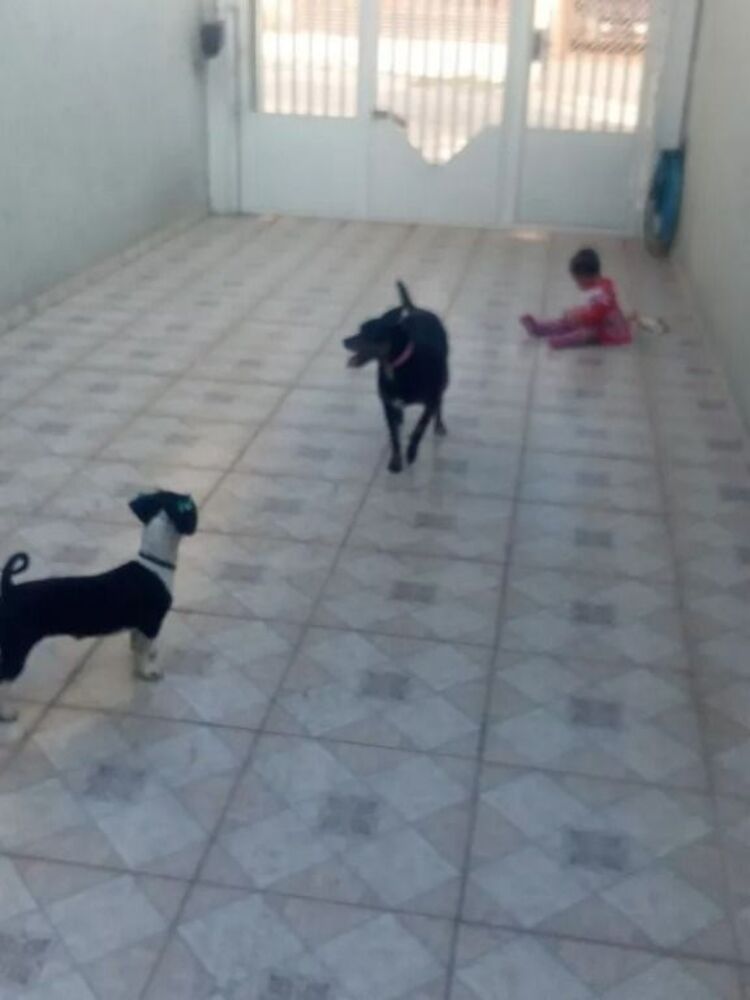 Sobrado, 3 quartos, 100 m² - Foto 5
