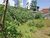 Terreno, 1500 m² - Foto 1