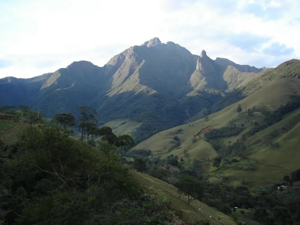 Fazenda, 133 hectares - Foto 9