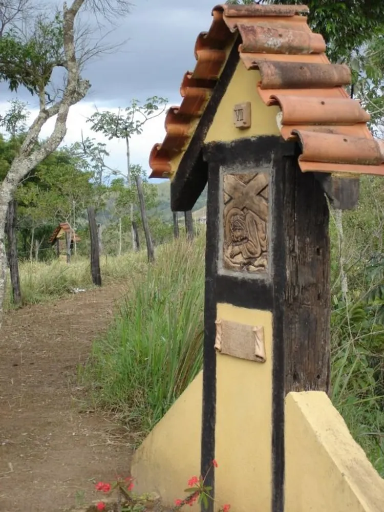 Fazenda, 133 hectares - Foto 10