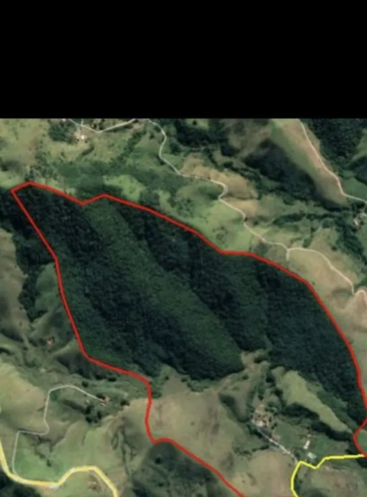 Fazenda, 133 hectares - Foto 5