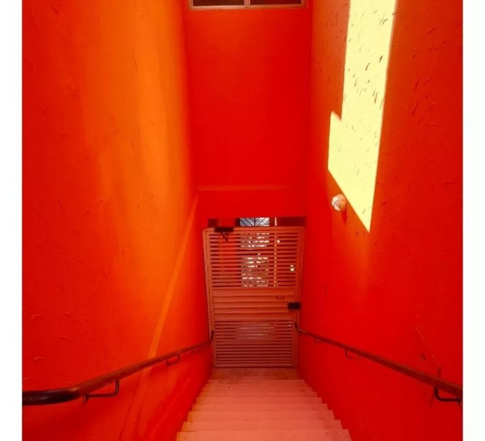 Loja-Salão, 454 m² - Foto 3