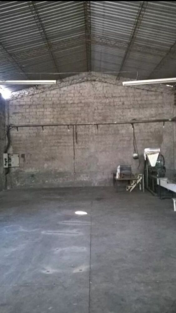 Depósito-Galpão, 300 m² - Foto 4