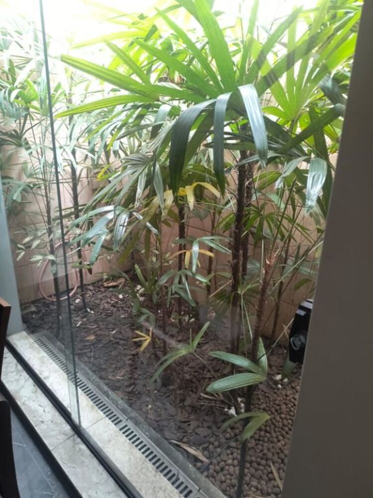 Casa, 3 quartos, 115 m² - Foto 10