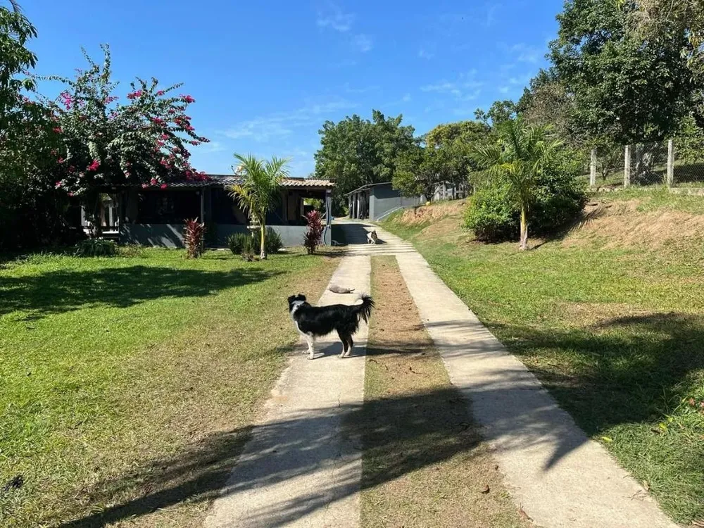 Casa, 5 quartos, 300 m² - Foto 6